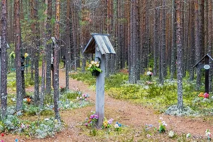 Зараз лише сосни та вітер сумно стогнуть в урочищі Сандармох за невинно убієнними душами
