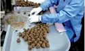 «Світоч» – невід’ємна частина солодких мрій