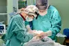 У Львові хірурги врятували життя 4-річному сироті з Одещини