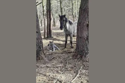 Фото: Яворівський національний природний парк