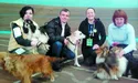 Розтопити теплом зневірені собачі душі