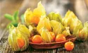 Загадковий фізаліс