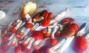 Із високої трави визирають підберезники у червоних шапках...