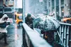 Прогноз погоди 16 грудня