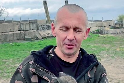 Дика свинка Маруся кладе на лопатки мисливського ягдтер'єра