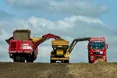 «Контінентал» збирає врожай картоплі