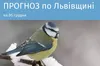 Погода у Львівській області на 5 грудня 2023 року