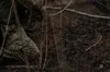1493-тя доба опору: Сили оборони стримали 150 атак та ліквідували тисячу окупантів за добу