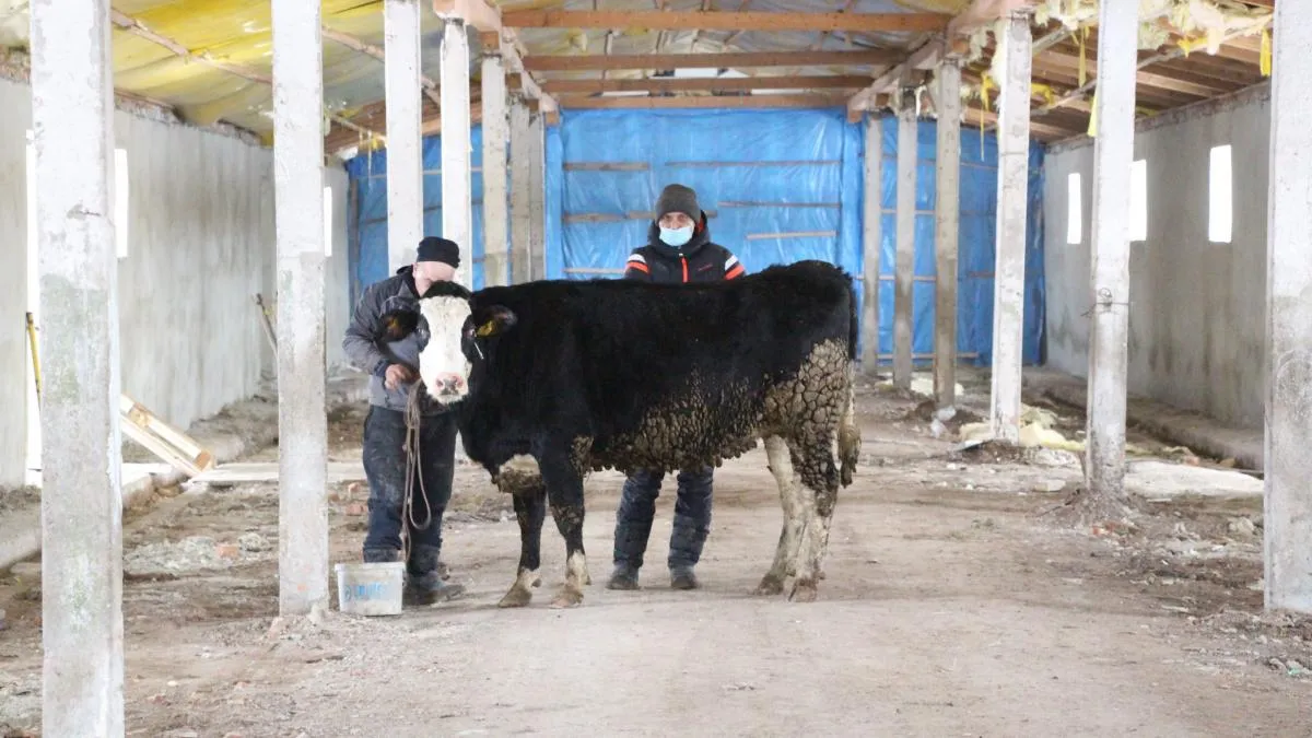 Фото Дрогобицької міської ради