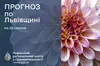 На Львівщині прогнозують короткочасні дощі та холод вночі