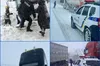 На трасі Одеса-Рені повністю перекрили рух через негоду