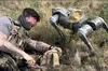 Разом із українськими оборонцями на фронті служать британські собаки-роботи (ФОТО)