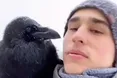 Зима, а у круків уже романтичний сезон