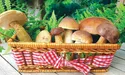 Мариновані гриби — гастрономічний шедевр
