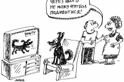 Перший у світі телевізійний канал для собак — DOGTV