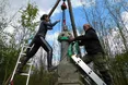 У Польщі відновили український цвинтар: волонтери реставрували 28 надгробків