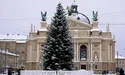 Засніжена ялинка виглядає особливо доречною