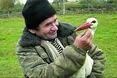 Бузьок полює у хліві на щуриків краще від кота