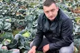 Капуста не підвела початківців