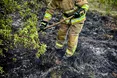 Масштабне займання сухостою у Великих Грибовичах: вогнеборці ліквідували пожежу