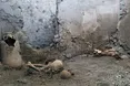У Помпеях знайшли скелети двох чоловіків, які загинули під час виверження вулкану