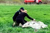 Трагедія на Рівненщині: після десяти днів пошуків знайдено тіло 4-річного хлопчика