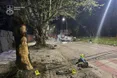 170 км/год замість дозволених 40: в Ужгороді водія засудили до 10 років за смертельну ДТП
