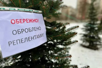 Фото: Київзеленбуд