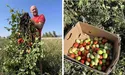 «Наші фермери настільки працьовиті, що навіть на „підсолених“ ґрунтах встановлюють рекорди»