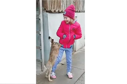Домашній зайчик міцно здружився із дітьми господаря. Фото Павла ПІДГРАНИЧНОГО