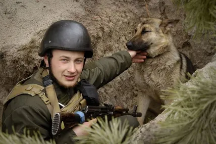 Під час бою в окоп до нацгвардійців заховався пес та залишився з бійцями. Історія порятунку Фауста