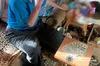 У Львові батько змусив доньку укласти фіктивний шлюб з військовозобов'язаним: деталі