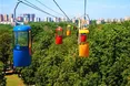 На Дрогобиччині хочуть найдовшу в Європі канатну дорогу побудувати