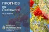 Хмарно з проясненнями: прогноз погоди на Львівщині на 22 жовтня