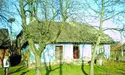 300 корів — на все село!