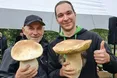 Священник написав гімн карпатським грибам