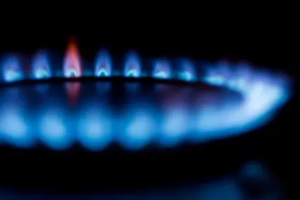 Фото: Pexels