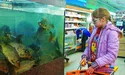 Ходова риба на базарі — короп, щука, форель...