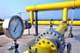 Реверсом газу в Україну зацікавилося близько 20 європейських компаній