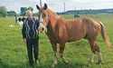 Працьовиті руки та широка душа: як чоловік оживив землю діда