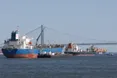 Сполучені Штати стали найбільшим у світі експортером нафти, випередивши Саудівську Аравію та росію