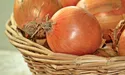 Зберігає цибулю під кожухом, а часник накриває халатом…