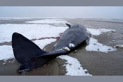 Фото: Букви