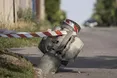 росіяни вночі обстріляли Чорнобаївку: загинув чоловік