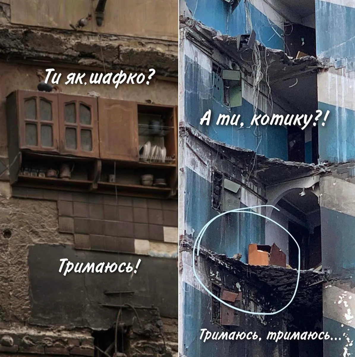 Мем з мережі
