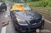 На автодорозі Львів-Винники дерево впало на автомобіль: постраждала пасажирка