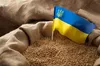 росія заробила на українському зерні щонайменше мільярд доларів, — джерело