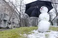 Аномально тепла зима шкідлива для здоров’я