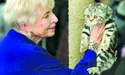 Кіт «без регалій» – 1,5 тис. гривень.