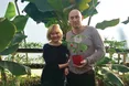Тропічна оаза неподалік Львова